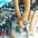 탐진강변 일원 이미지