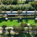 반려동물놀이터 이미지