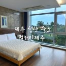 컬러민박 | 제주 성산 숙소 추천 컬러인제주 블루 내돈내산 숙박 후기