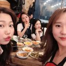 제주통도야지 이미지