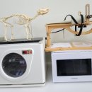 샘터동물병원 이미지