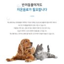 멍냥캉스 이미지