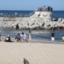 강문해변 이미지