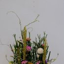 vegetative parallel 이미지