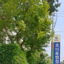 밀성군 묘역 및 신도비 이미지