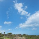 예그리나 호스텔 이미지