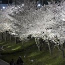 (주)마켓메이커 이미지