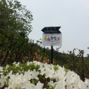 시립한신숲어린이집 네이버블로그