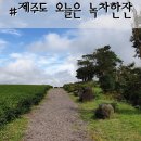 H0406 | 제주도 오늘은 녹차한잔 동굴이 있어요