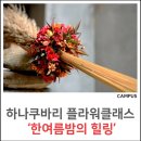 디자인힐링전주