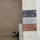 여름방학 핫플레이스, 국립중앙박물관