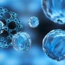 나노병원 이미지