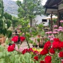 현암리 돌담집 이미지