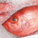 구로-구로-구로-1211 이미지