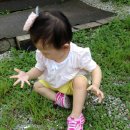 오르비스펜션 이미지