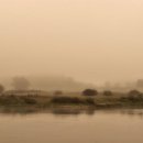 선산대로-17 이미지