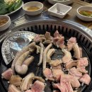 산꼼장어 이미지