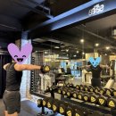 스밀로짐 이미지