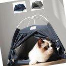 애견의 집 이미지