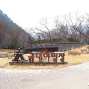 금대자동차야영장(치악산국립공원) 이미지
