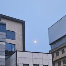 [봉사이야기] 벧엘의 집 노숙인 무료급식 봉사활동
