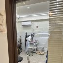 몽개구름 애견유치원 | 간석동애견미용 몽개구름 솔직후기｜가격표 오픈이라 믿음 갔던 곳