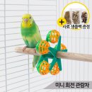 올블루