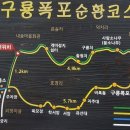 구룡주유소 이미지