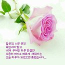 행복한밤 이미지