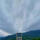 정금마을 차밭 앞 이미지