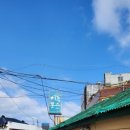 일일문구사