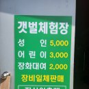 태안 갯벌체험장 진산리 어촌계 행복마트 갯벌체험 솔직후기
