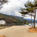 경주 캠핑573