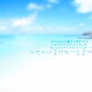 바다 이미지