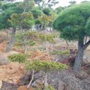 장척농장 이미지