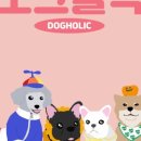 도그홀릭 이미지