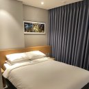 동백섬 | 부산 해운대 숙소 라비드아틀란호텔2 하프오션뷰 내돈내산 + 광안리 불꽃축제 동백섬 관람 후기