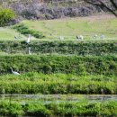 우포늪주차장 이미지