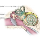 유니드 짐 이미지