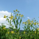 감천제방 이미지