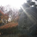 산동숲유치원 이미지