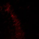 와인터널주차장 이미지