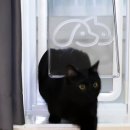 단짝스토어 이미지