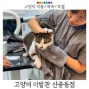 남매이발관 네이버블로그