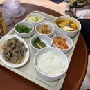 파티마여성병원 이미지