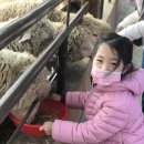 아람목장 이미지