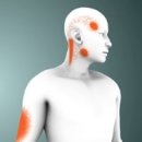 고릴라 피트니스 이미지