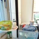 양평애견호텔 이미지