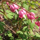 화수초등학교 이미지