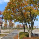 씨사이드파크 이미지